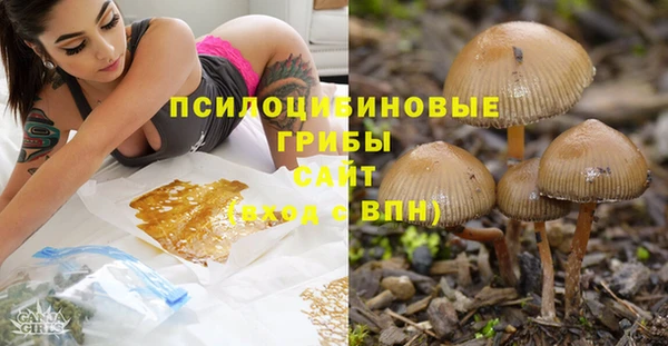 прущая мука Белокуриха
